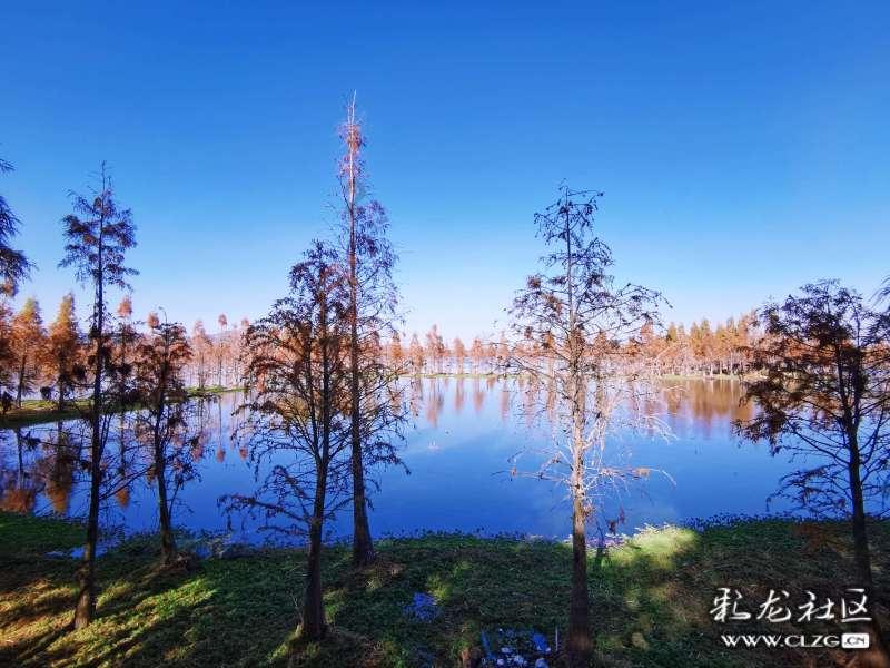 机械迷城