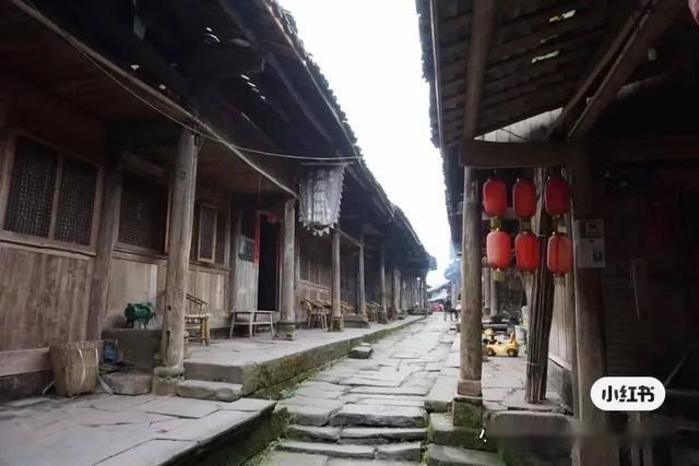 小猪仔要回家